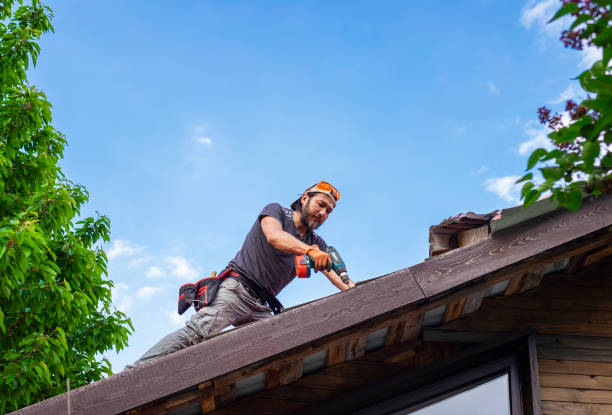 Best Skylight Installation and Repair  in Grove, OK